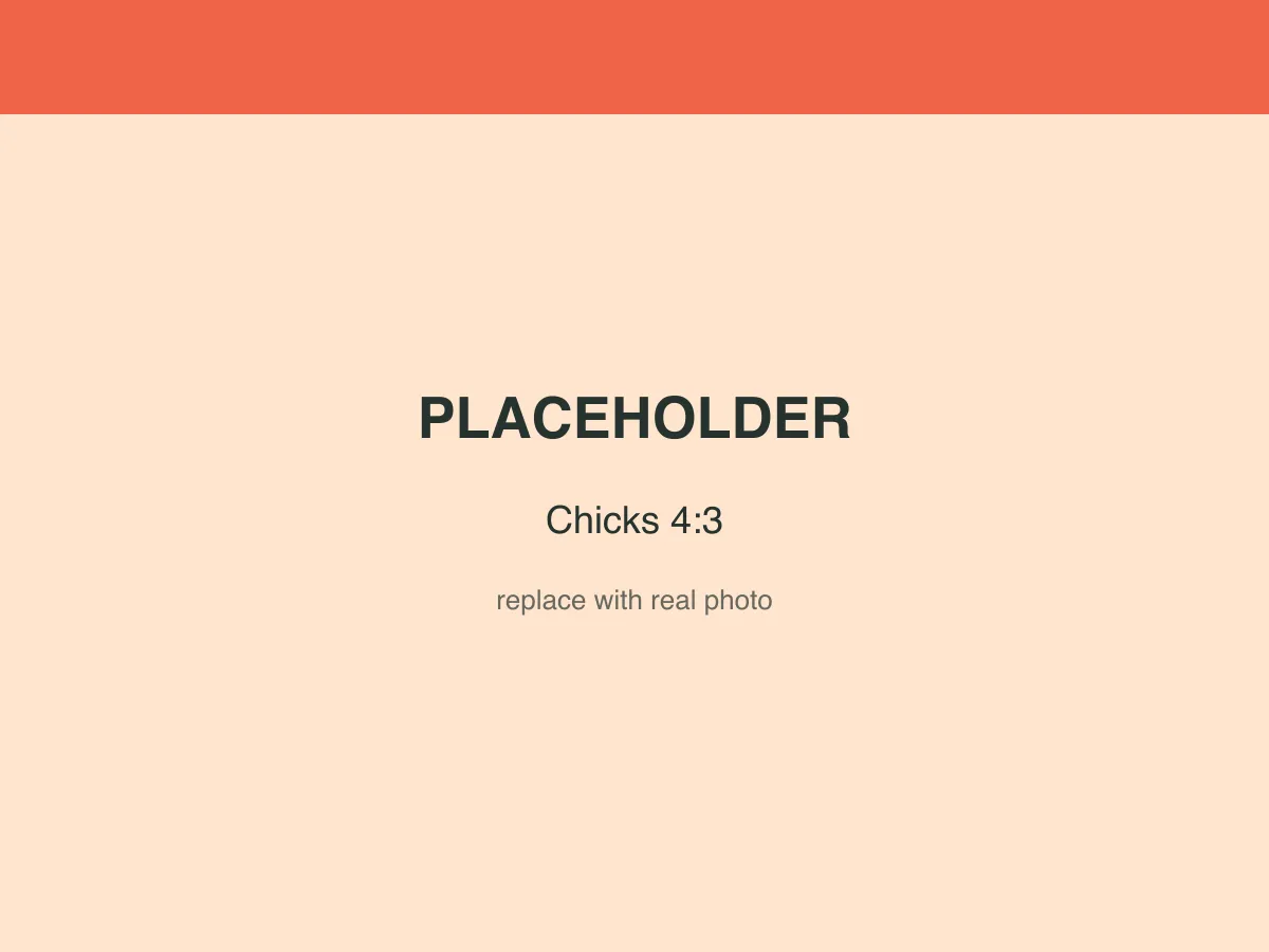 Placeholder image — replace with a real photo.